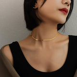 Personality Versatile 18K Gold Snake Bone Chain Niche Design Spice Girl Necklace Bracelet