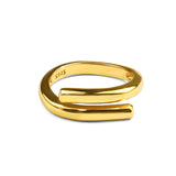 Creative versatile metal texture ring, retro hip-hop internet celebrity accessory, exquisite open mouth girl ring